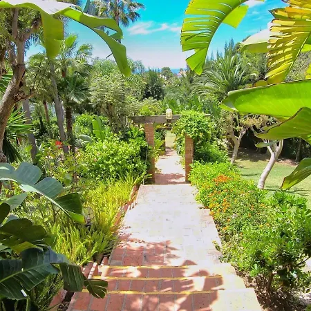In Paradise Luxury شقة *